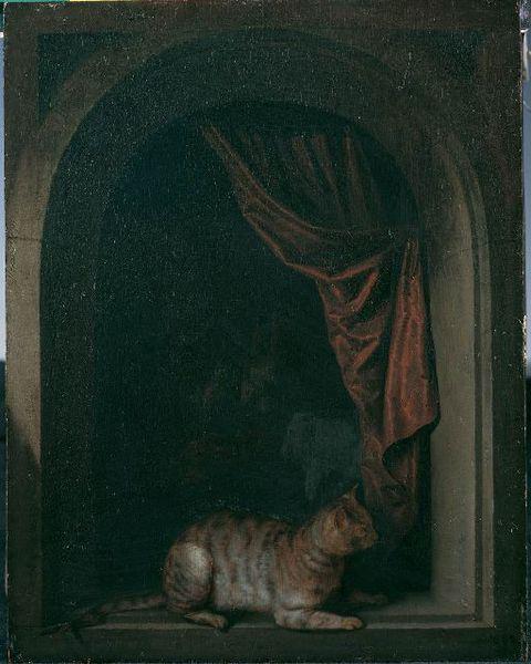 Gerard Dou Eine Katze am Fenster eines Malerateliers oil painting picture